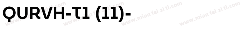 QURVH-T1 (11)字体转换